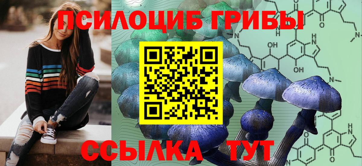 Галлюциногенные грибы Magic Shrooms  Вход с VPN  Галлюциногенные грибы мицелий  Новозыбков 