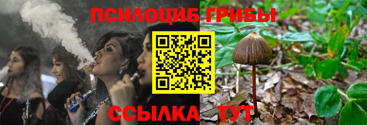 Псилоцибиновые грибы ЛСД Новозыбков