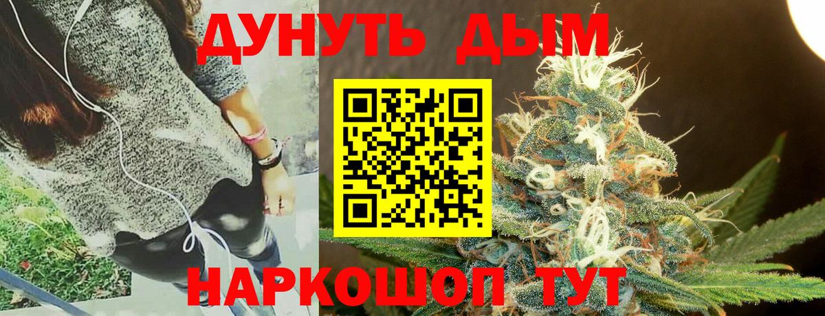 Шишки марихуана сатива Новозыбков